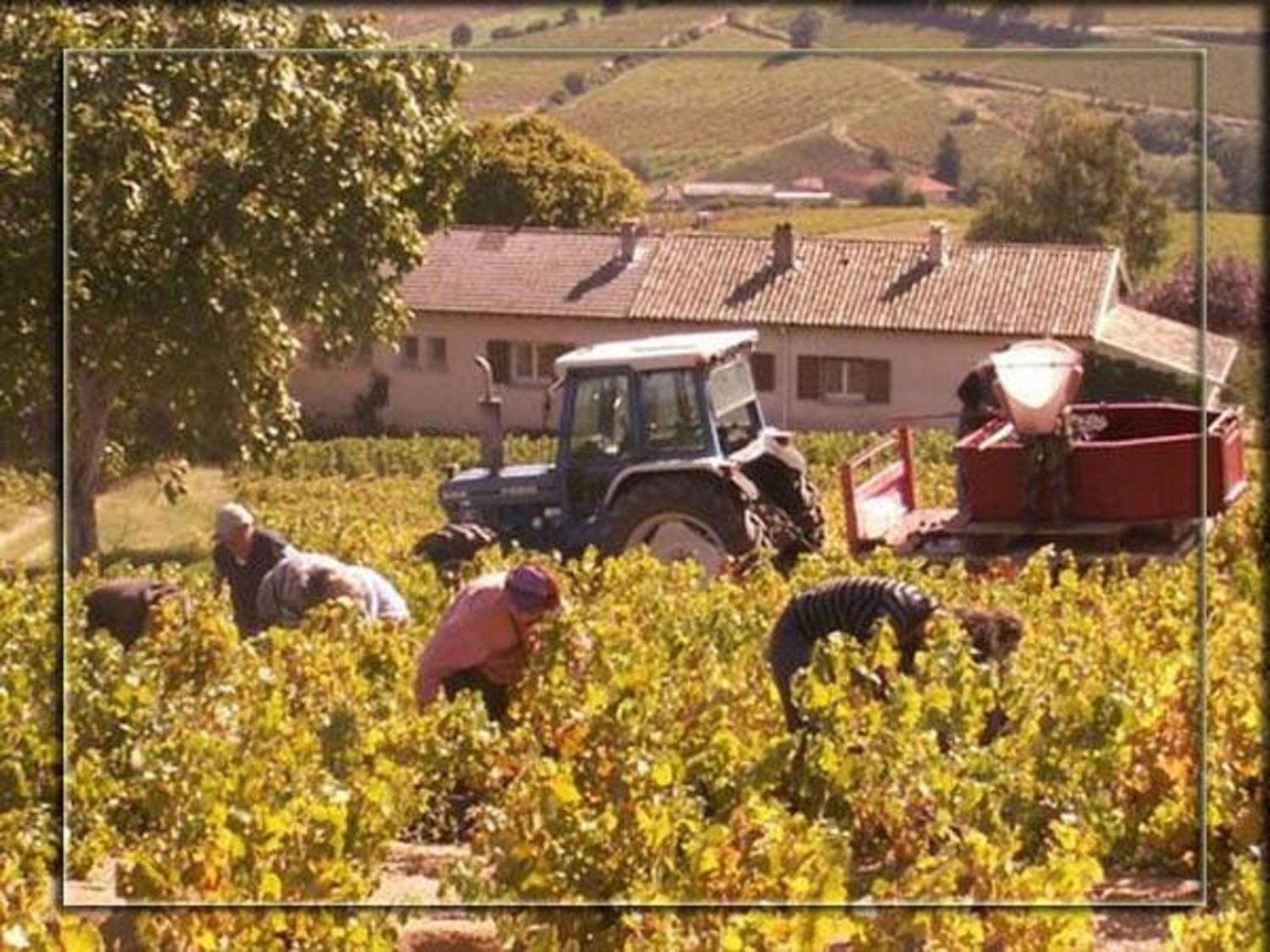 Bed and Breakfast La Croix De Saburin Quincie-en-Beaujolais Экстерьер фото